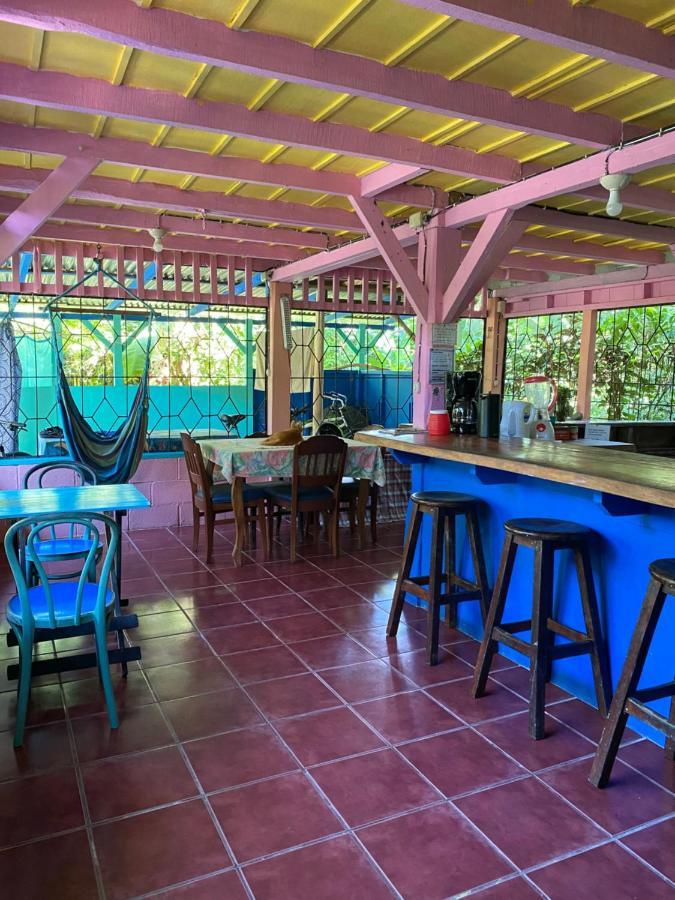 Hidden Jungle Beach House Puerto Viejo de Talamanca Extérieur photo