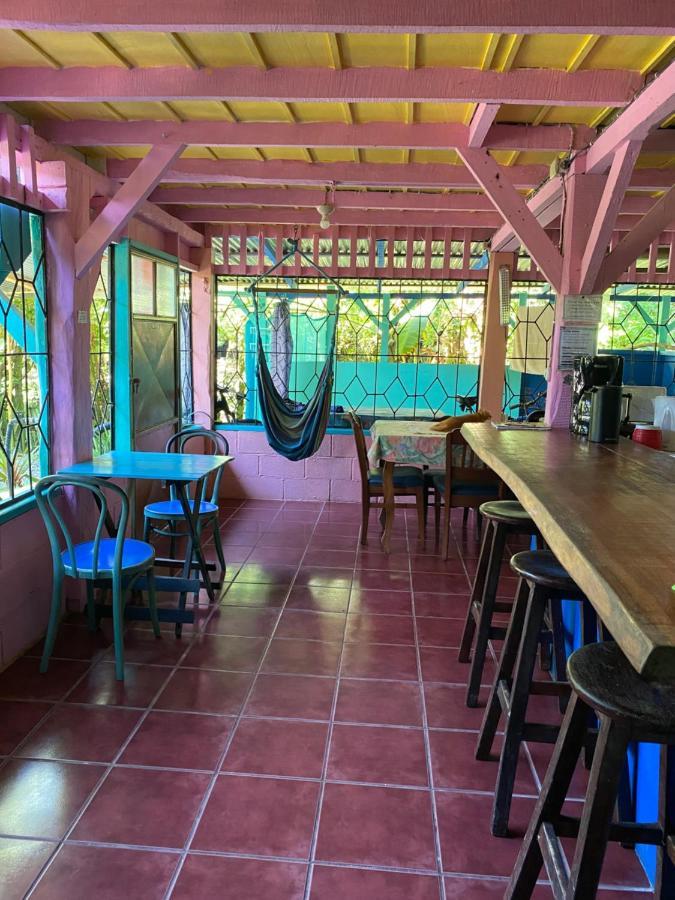 Hidden Jungle Beach House Puerto Viejo de Talamanca Extérieur photo