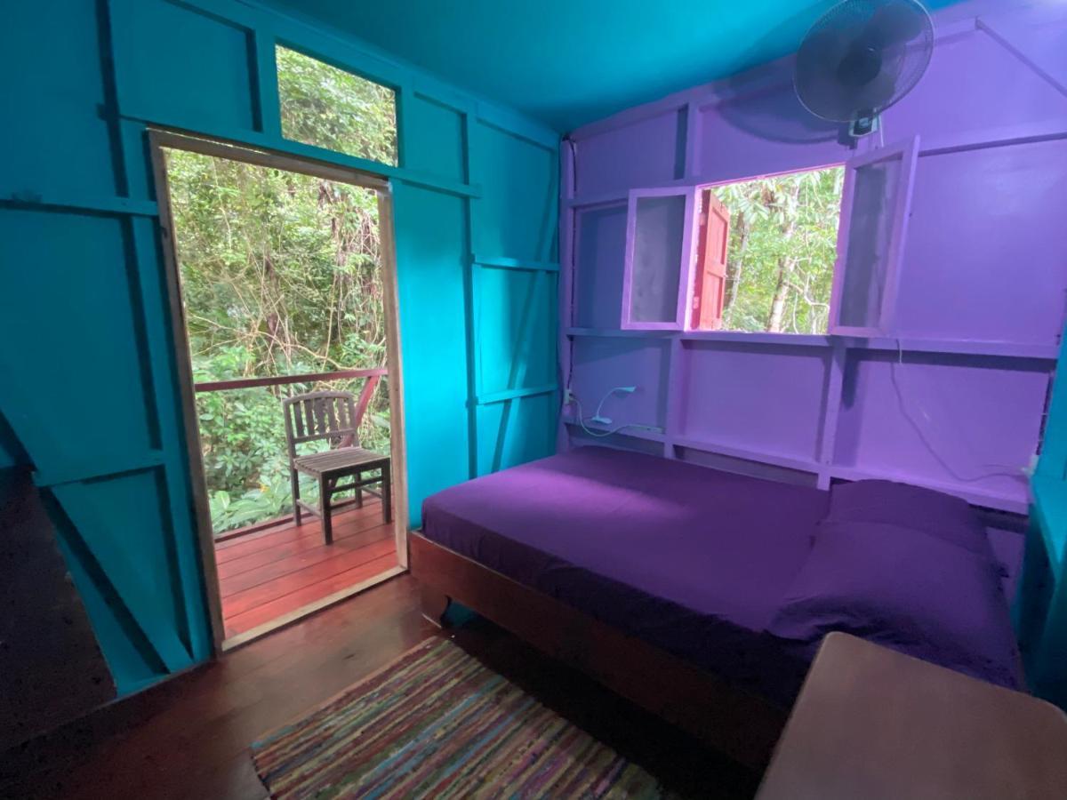 Hidden Jungle Beach House Puerto Viejo de Talamanca Extérieur photo